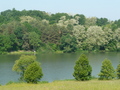 P�ly�zatati felh�v�s a Borosty�n-t� strandj�nak �zemeltet�s�re �s fejleszt�s�re