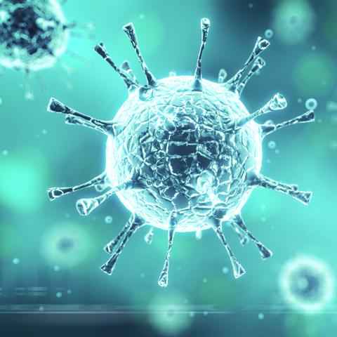 Koronavírus járvány - Vigyázzunk egymásra!
