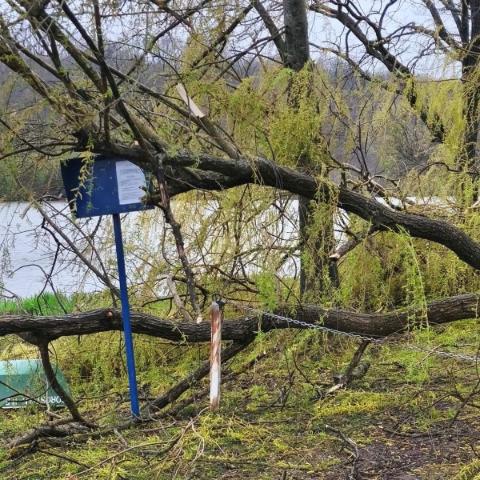 Vihar utáni(?) helyzet Zalalövőn Vihar utáni(?) helyzet Zalalövőn