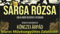 Srga Rzsa - a Maros Mvszegyttes eladsa