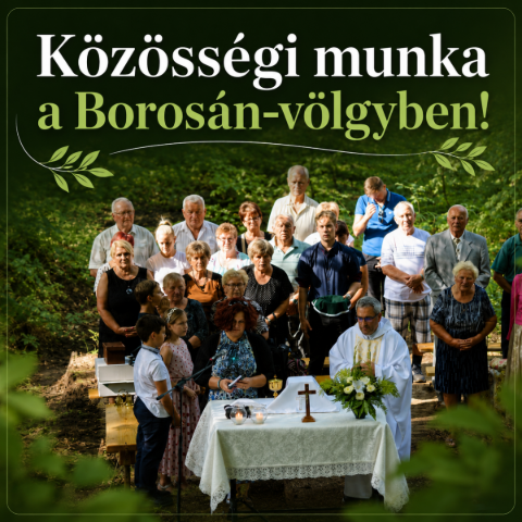  K�z�ss�gi munka a Boros�n-v�lgyben!