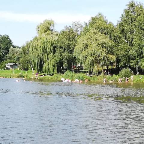 Plyzati felhvs - Borostyn-t strand zemeltets