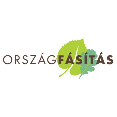 K�z�ss�gi fa�ltet�s a zalapataki temet�ben