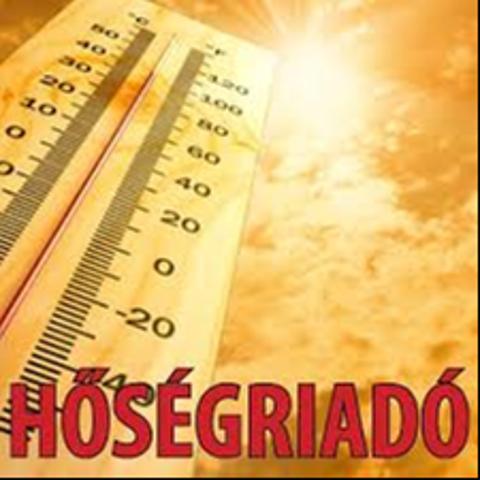 II. fok hsgriaszts 2024. szeptember 05. (cstrtk) 24.00 rig