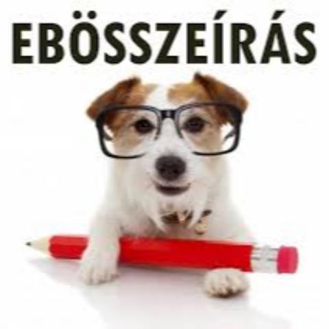 Ebsszers