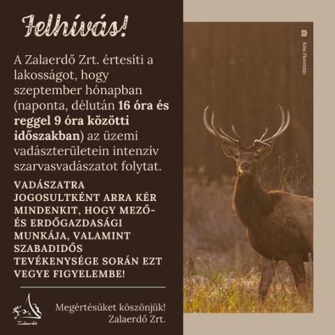 A Zalaerd Zrt. felhvsa - szeptember hnapban intenzv szarvasvadszat lesz