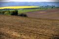 Hirdetm�ny a 2026. �vi hat�rszemle ellen�rz�sekr�l �s a parlagf� elleni v�dekez�s ellen�rz�s�r�l