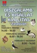 Díszgalamb és kisállat kiállítás Zalalövőn 2024. február 9.