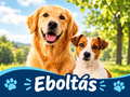 EBOLT�S lesz 2026. szeptember 23-t�l - 2026. okt�ber 1-ig tart� id�szakban 
