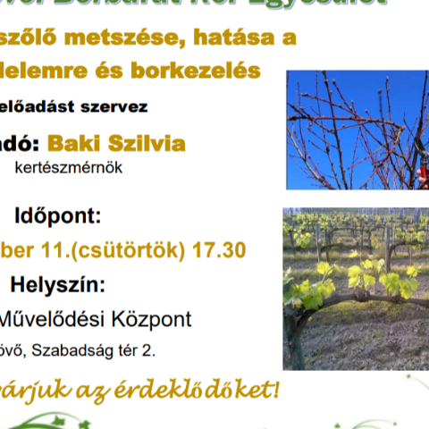 Zalalvi Borbart Kr Egyeslet eladsa