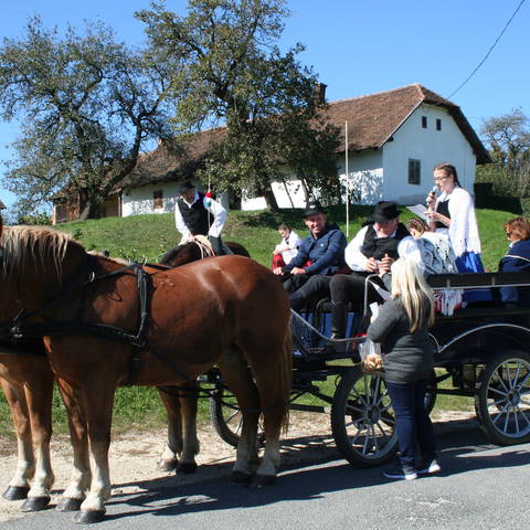 XV. Zalai Murcifesztivl-FRISSTVE